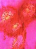 Poppy Long Silk Scarf Vivid Pink